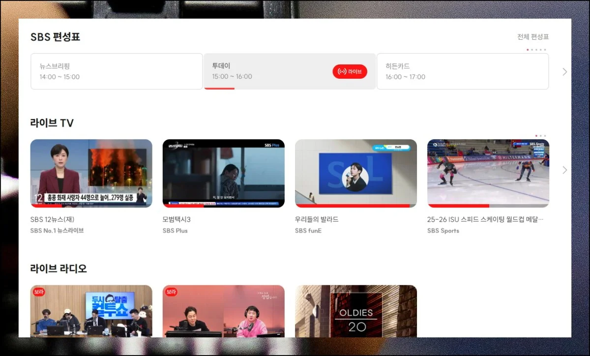(4) 대표 프로그램 언제든지 시청