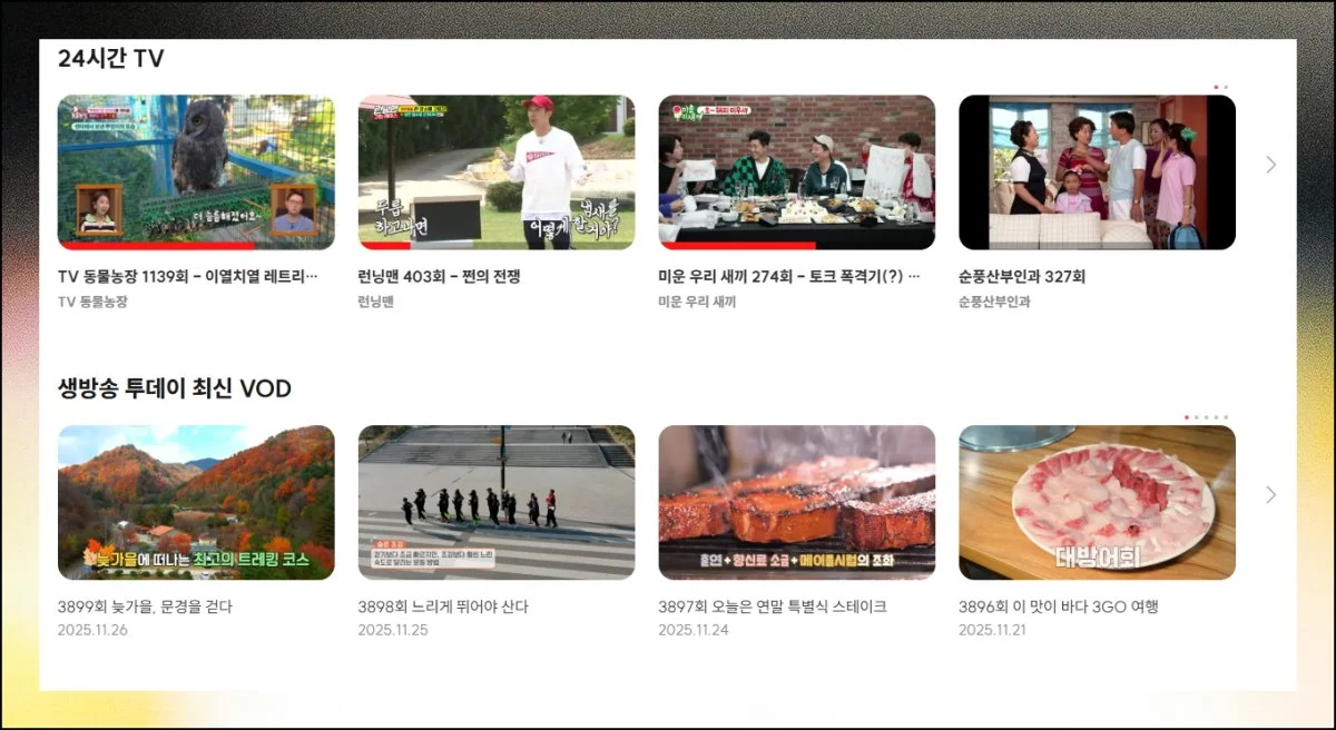 (4) 대표 프로그램 언제든지 시청