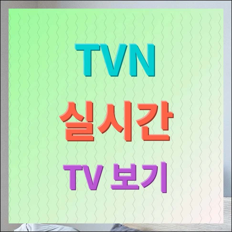 TVN 실시간 TV 보기 가이드