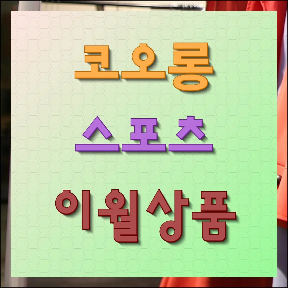 코오롱스포츠 이월상품 할인받고 저렴하게 사는법