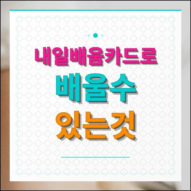 내일배움카드로 배울수 있는것 수업